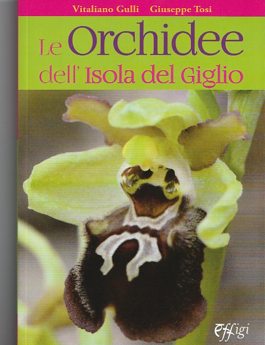 copertina orchidee