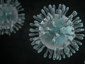 virus polmonite